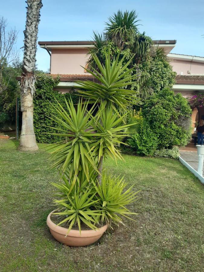 B&B Villa Giovanni Casal Palocco Εξωτερικό φωτογραφία